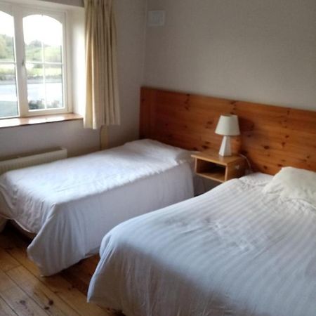 Parnell House Bed and Breakfast Ennis Exteriör bild