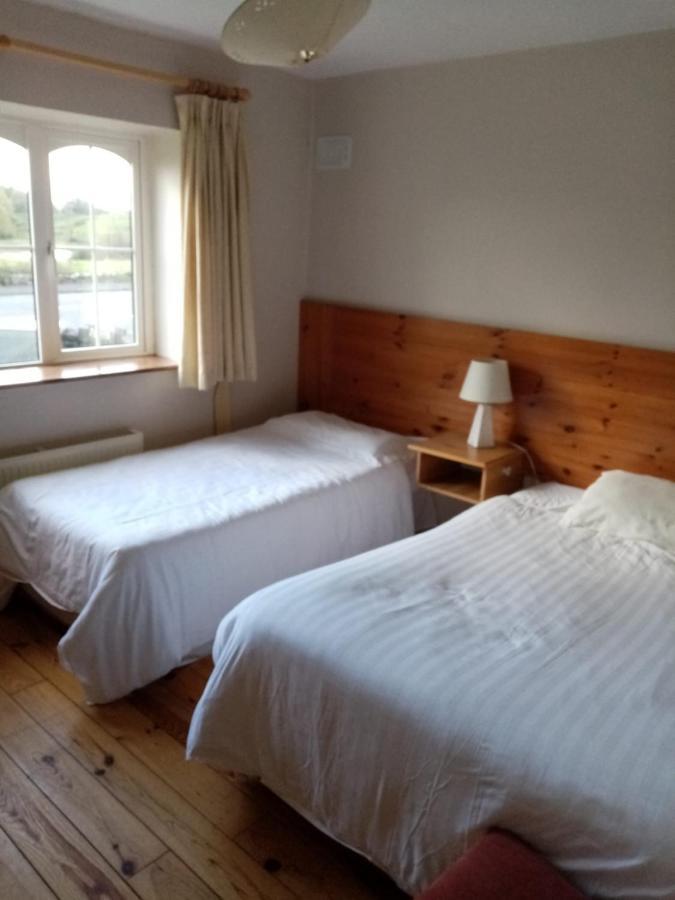 Parnell House Bed and Breakfast Ennis Exteriör bild